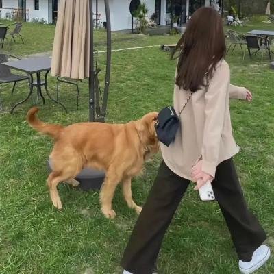 直到破坏了丈夫的家庭